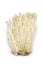 Fresh Enoki mushrooms