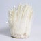 Fresh Enoki mushrooms