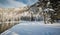 Fresh fallen snow in Yellowstone National Park in winter