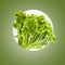 Fresh falling green salad isolated on colored background