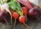 Fresh farm colorful beetroot on a wooden background. Detox and health. Selective focus. Red, golden, white beet