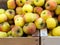 Fresh farm organic apples in boxes at market. Red, yellow variety.