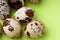 Fresh, farm, raw quail eggs on white background. Protein diet. Healthy diet