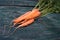 Fresh farmer carrots on an old green wooden background