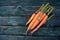 Fresh farmer carrots on an old green wooden background