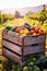 Fresh Farmers Market Produce in Wooden Crates