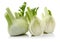 Fresh fennel vegetable and slice on white background