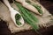 Fresh Field horsetail in a pharmacy mortar with a pestle on a wooden table. Collection of medicinal herbs for homeopathy and