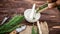 Fresh Field horsetail in a pharmacy mortar with a pestle on a wooden table. Collection of medicinal herbs for homeopathy and