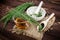 Fresh Field horsetail in a pharmacy mortar with a pestle on a wooden table. Collection of medicinal herbs for homeopathy and