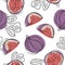 Fresh figs seamless pattern. Fruit with half and quarter isolated on white background. Vector.