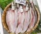 Fresh filleted fish in a Japanese market