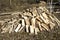 Fresh firewood stack in farm garden