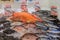 Fresh fish branzino, tilapia, catfish and snapper on ice for sale at Pike Place Market in Seattle, Washington