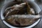 Fresh fish crucian carp and roach in a saucepan