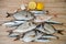 Fresh fish with lemon ready for cooking. Preparing delicious and tasty seafood meal. Uncooked Gilt-head sea bream, Sardines, Commo