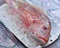 Fresh fish on the market, pargo rojo, red snapper fish