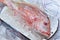 Fresh fish on the market, pargo rojo, red snapper fish