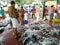 Fresh fish market in small remote village in Kerala India.