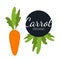 Fresh flat organic carrot isolated