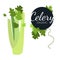 Fresh flat organic celery isolated