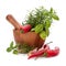 Fresh flavoring herbs and spices in wooden mortar