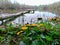 Fresh flowers grow on the shore of the lake near the water and homemade fishing pier. A place for relaxation and privacy