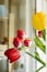 Fresh flowers in the home interior. lush tulips red and yellow on window background in apartment. Spring Awakening. selective