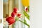 Fresh flowers in the home interior. lush tulips red and yellow on window background in apartment. Spring Awakening. selective