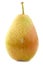 Fresh `Forelle` pear