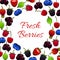 Fresh forest berry and garden berries poster
