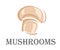 Fresh forest mushroom symbol