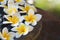 Fresh Frangipani flowers floating on the jar