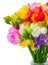 Fresh freesia flowers