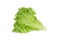 Fresh frillice iceberg lettuce on white background