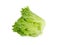 Fresh Frillice Iceburg lettuce on white background