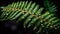 Fresh fronds of ferns adorn the forest floor generated by AI