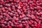 Fresh frozen red juicy cranberries