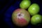 Fresh fruit on a dark blue background: three tangerines and one grapefruit