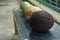 fresh fruit and guava fruit