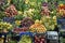 Fresh Fruit Market Stand