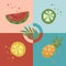 Fresh fruit slices. Vector elements of watermelon, orange, lime and pineapple. vegan food. Flat design style on four multicolor