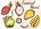 Fresh fruits beautifully detailed vector set. Hand-drawn tropical fruits isolated. Perfect menu template for vegetarian/vegans.