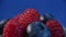 Fresh fruits - blueberry, raspberry. beautifully lined with raspberries and blueberries