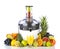 Fresh fruits and glass with juice near juicer