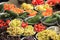 Fresh fruits on a market stall