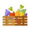 Fresh Fruits at the Market Vector Illustration.