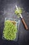 Fresh garden cress germ bud with knife on a black board