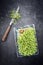 Fresh garden cress germ bud with knife on a black board