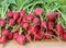 Fresh garden radish with a tops of vegetable, a close up.